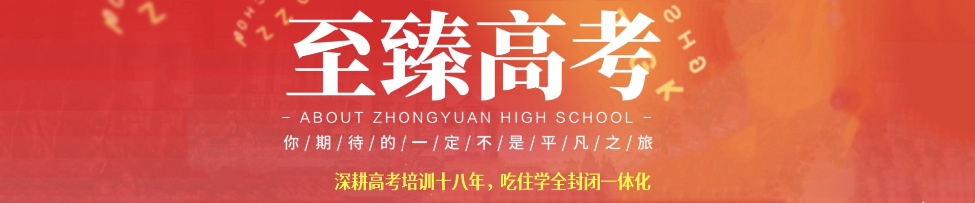 武汉至臻高考