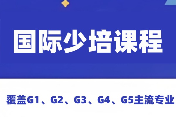 国际学校同步培训课程