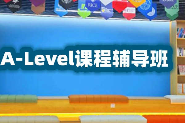 A-Level课程辅导