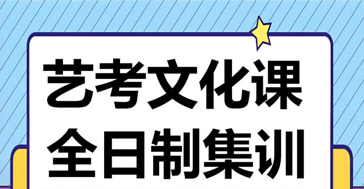 高三艺考生文化全日制班课