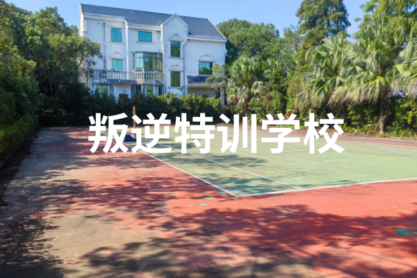 叛逆素质特训基地招生简章