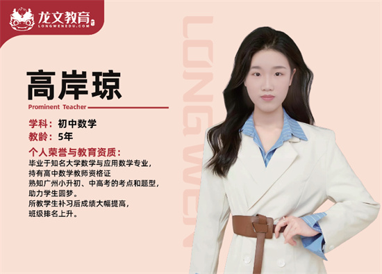 龙文教育初高中数学老师