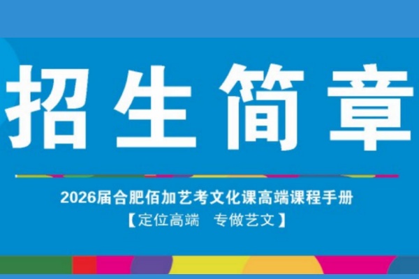 艺考文化课集训班