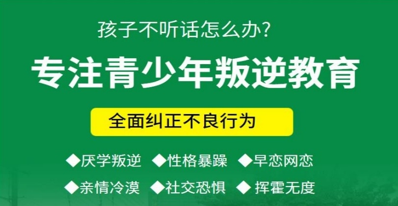 叛逆特训学校