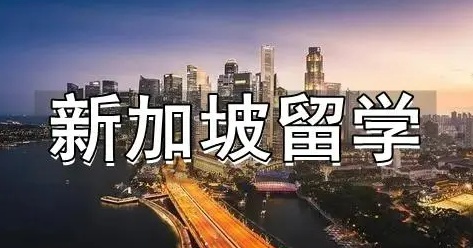 2026年高中去新加坡留学一年费用实打实算账