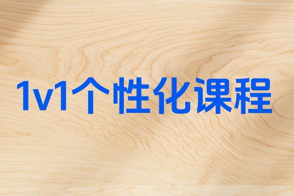 初中1v1补习班