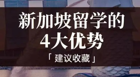 2026年想要去新加坡留学需要多少费用?留学需要注意的事项 2026年想要去新加坡留学需要多少费用?留学需要注意的事项