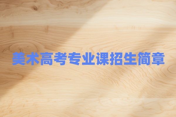 2027届美术高考专业课招生简章