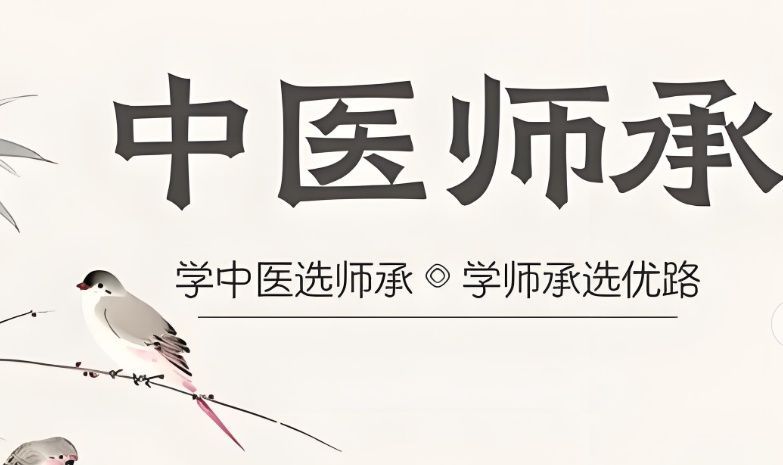 郑州金水区中医师承培训费用