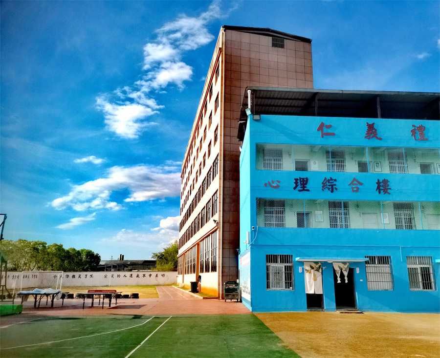 武汉江夏区教学质量上乘孩子叛逆心理解决基地