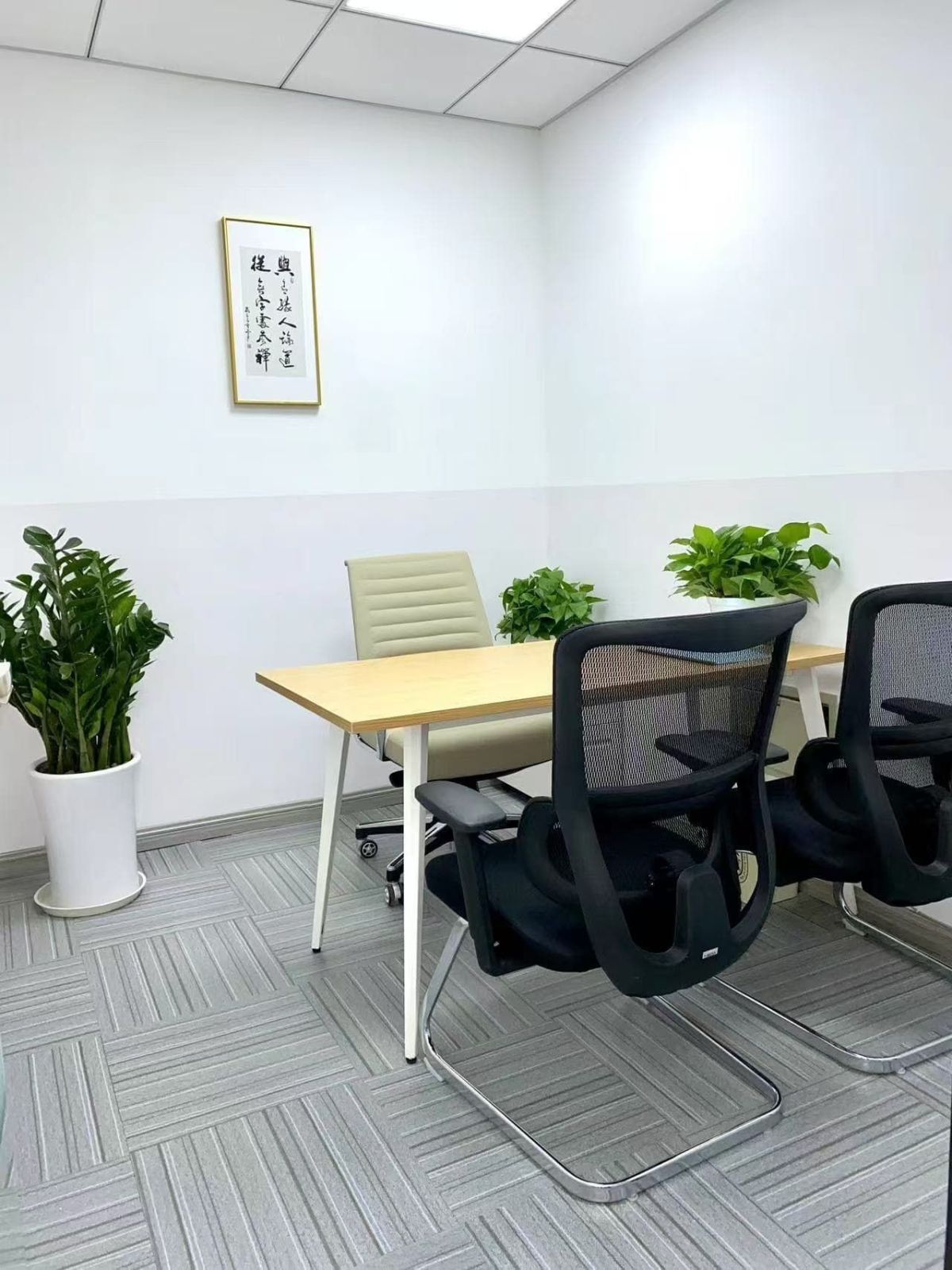 初升高衔接课择校