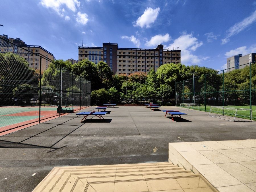 新学高考
