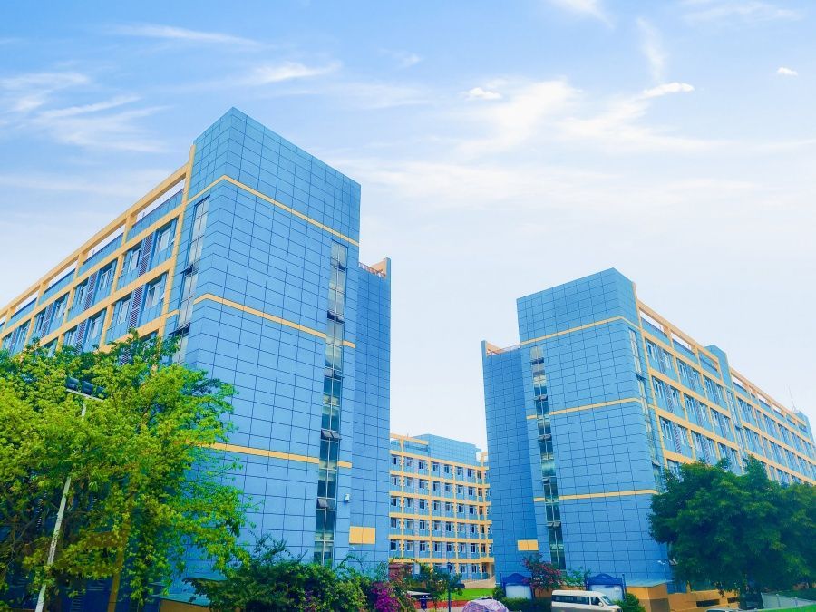 郫都区艺考文化课冲刺