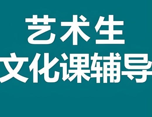 深圳艺考文化课培训