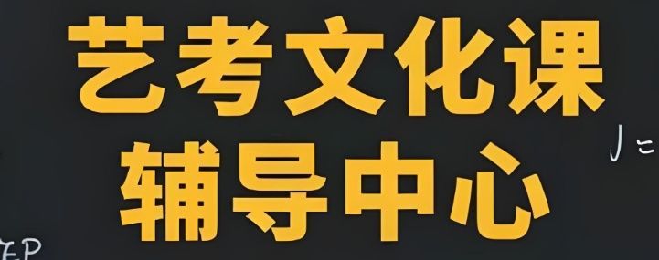 高三艺考生文化课提分