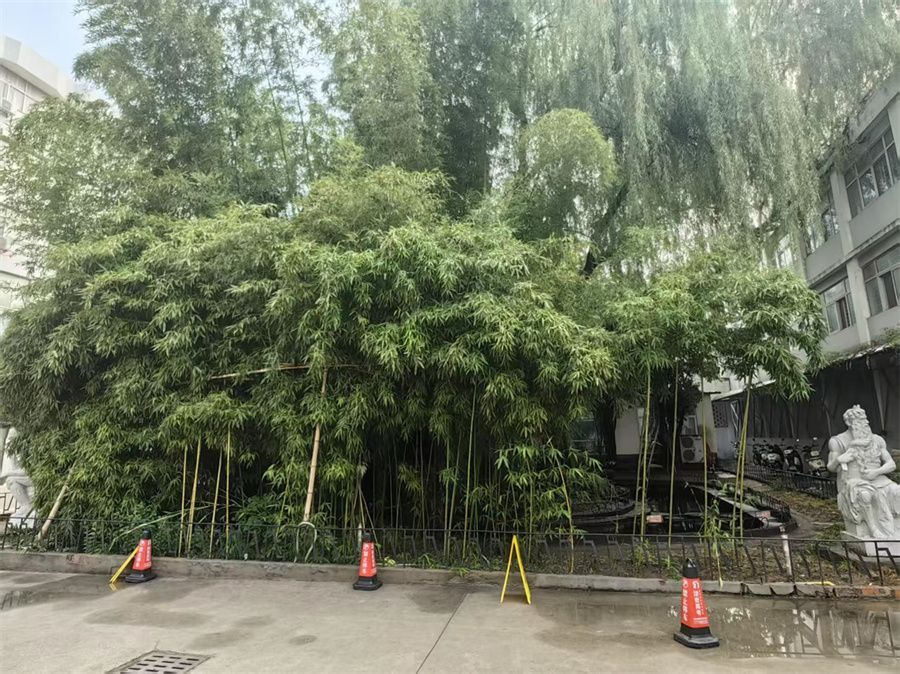 郑州高三复读