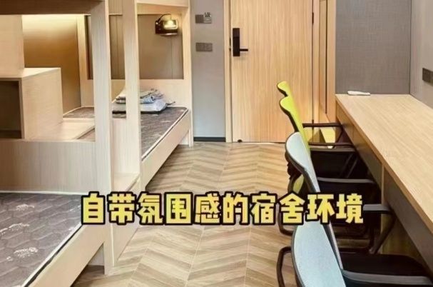 DSE中文选课指南