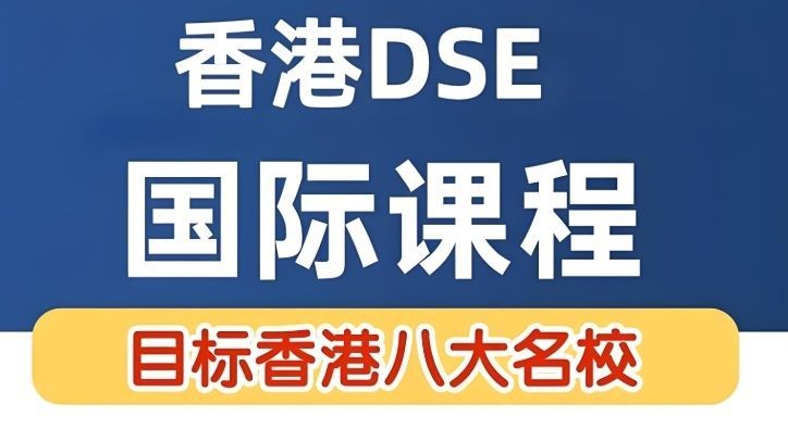 广州DSE辅导