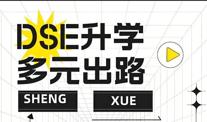DSE备考