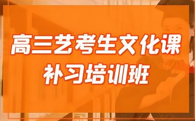 艺考生文化课辅导
