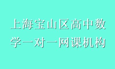 上海宝山区高中数学一对一网课机构推荐：优茂园助力宝山学子高效学习